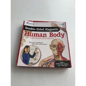 Learning Resources Double-Sided‎ Magnetic Human Body LER 6044 Anatomy Set New